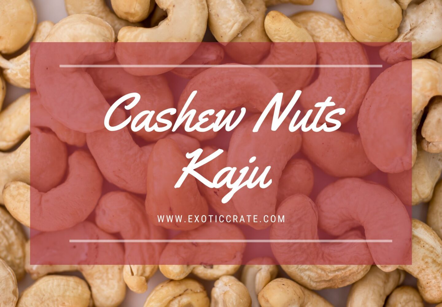 Cashew