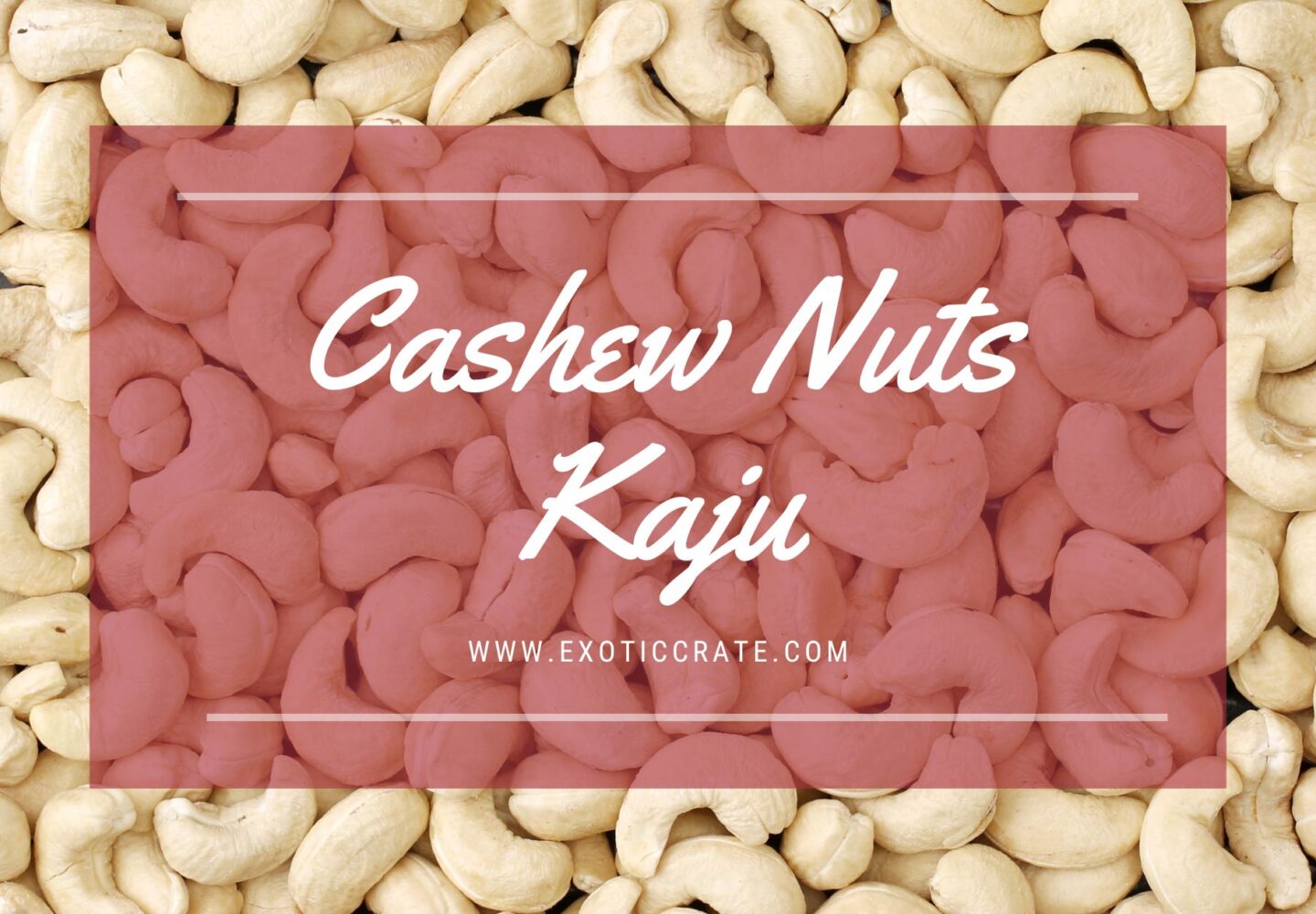 Cashew