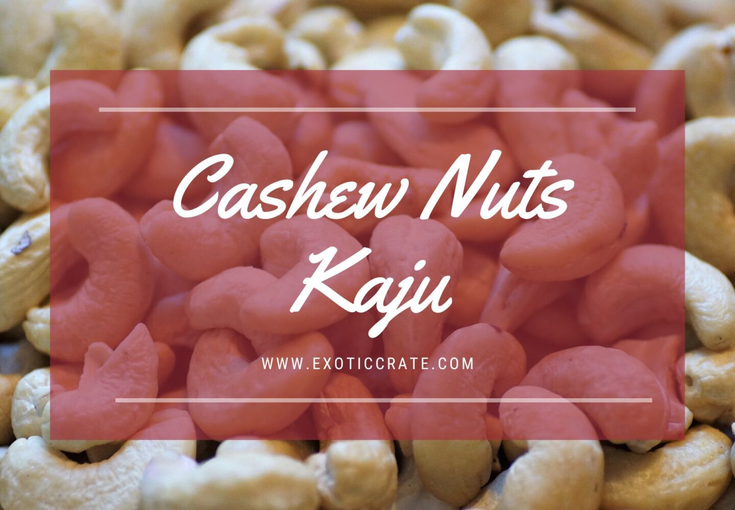 Cashew