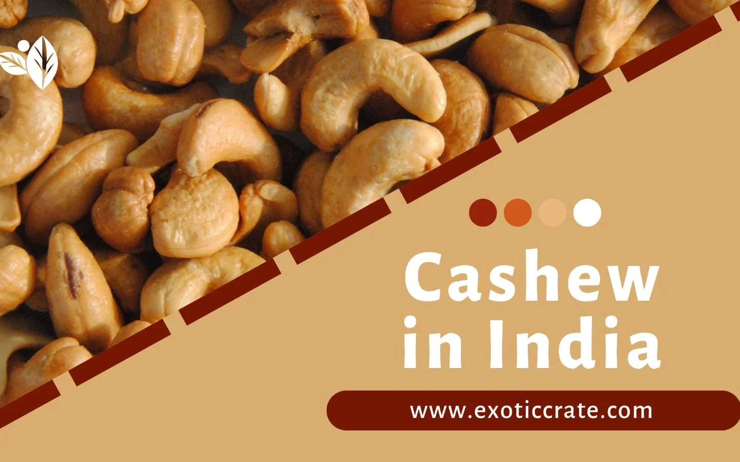 Top Trader of Cashews in India: Exotic Crate