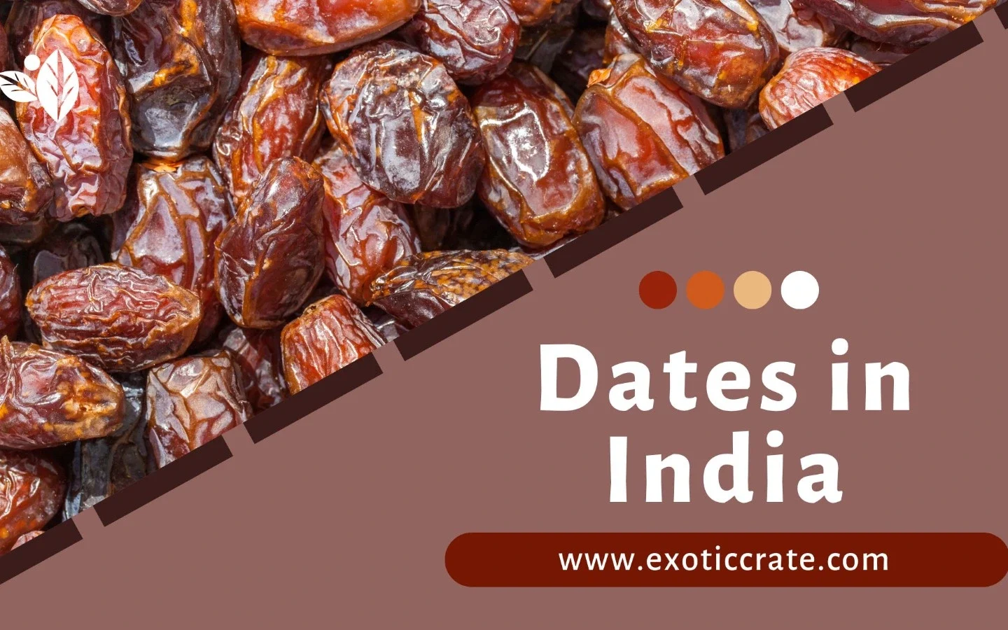 Best Trader of Dates in Delhi: Exotic Crate