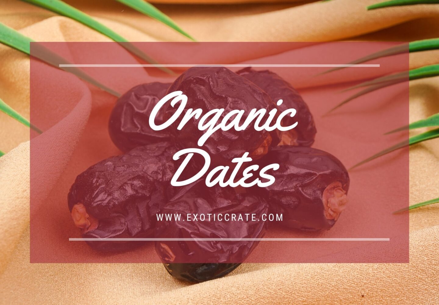 Dates