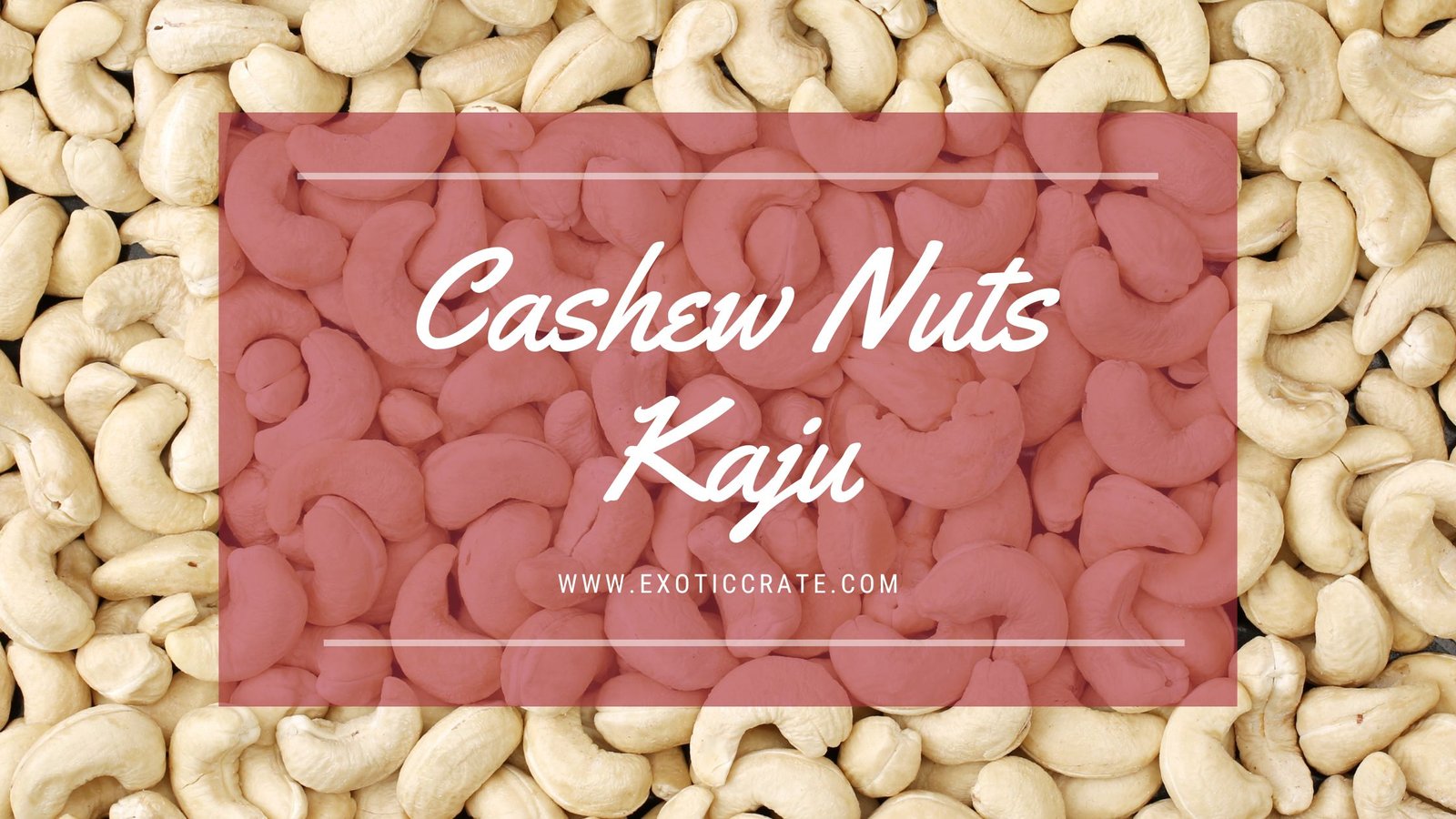 cashew nut