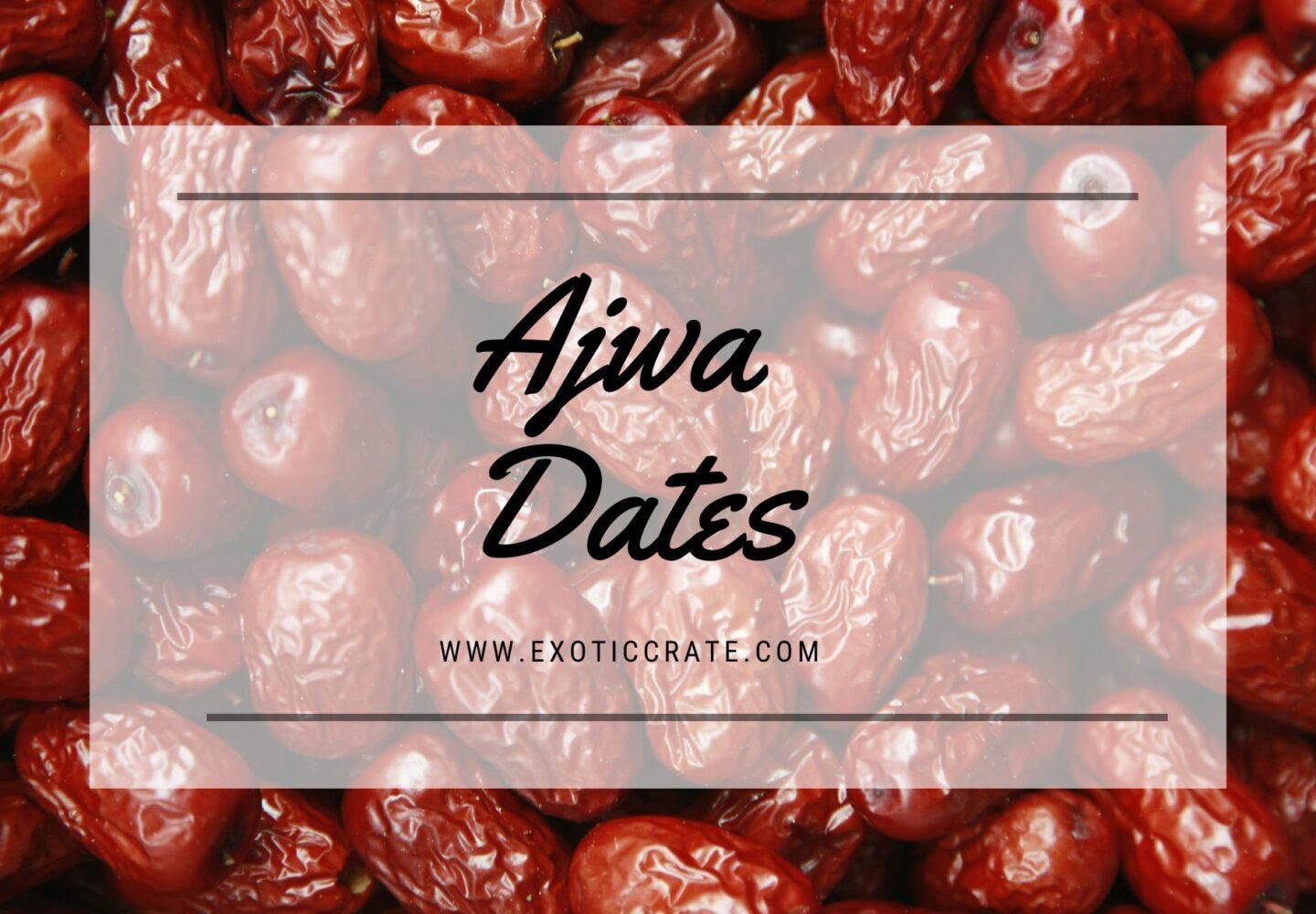Ajwa Dates Supplier in Delhi NCR