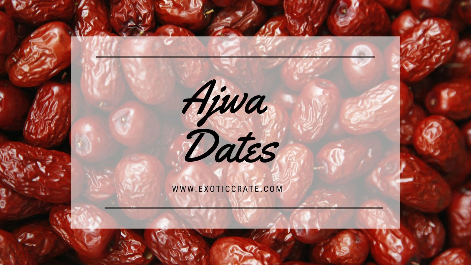 Ajwa Dates Supplier in Delhi NCR