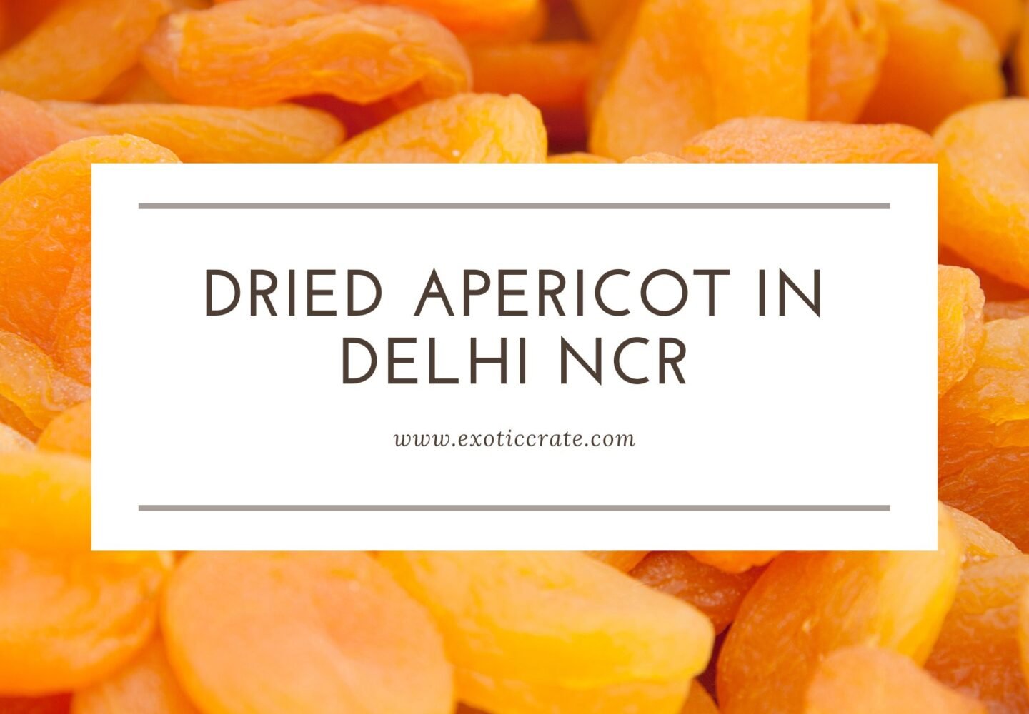 Dried Apricot Supplier in Delhi NCR