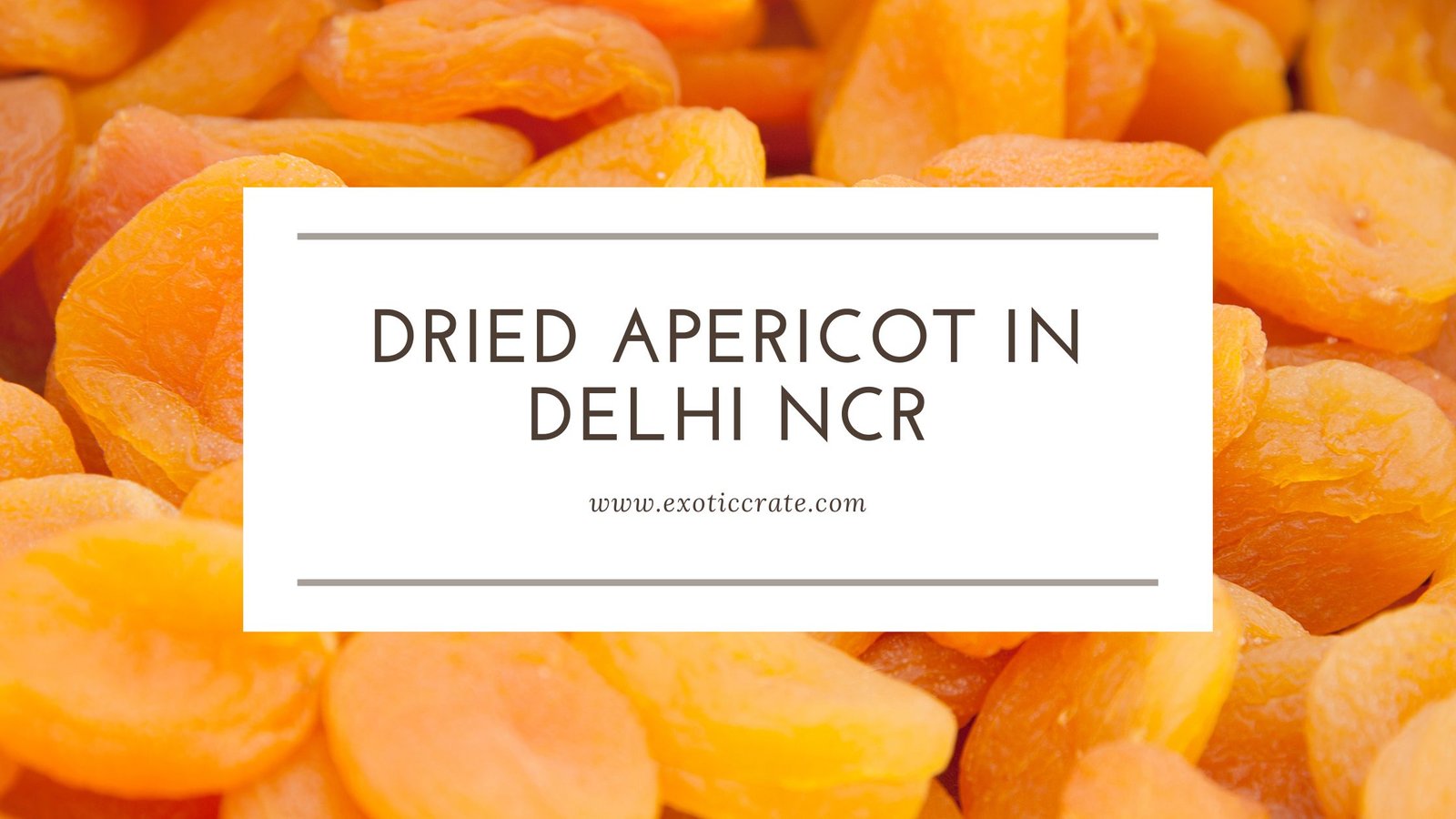 Dried Apricot Supplier in Delhi NCR