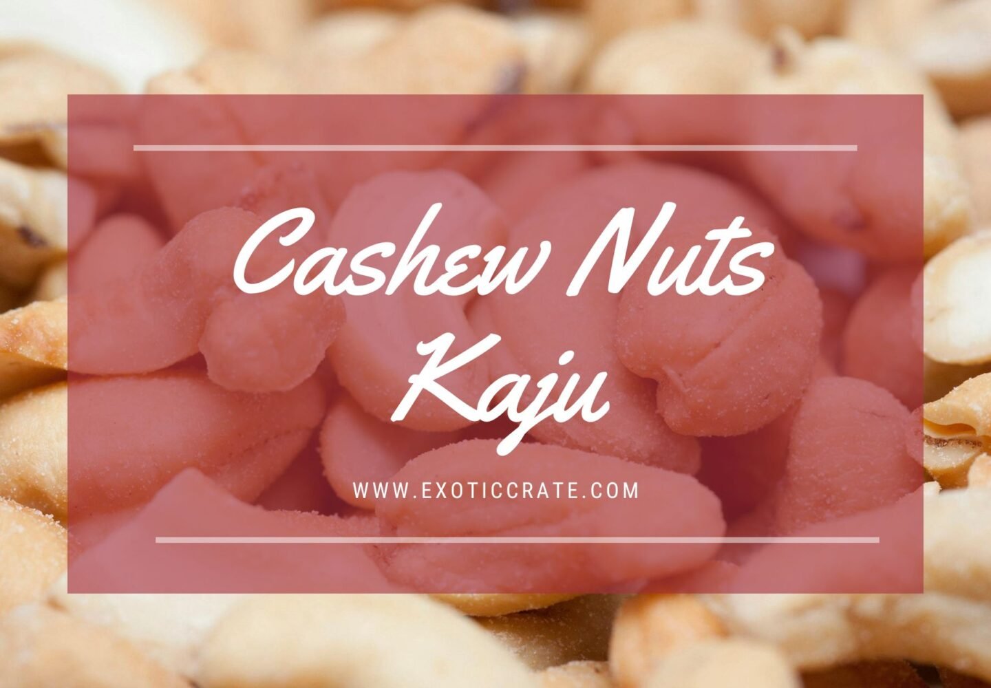 Cashew Nuts (Kaju) Supplier in Delhi NCR