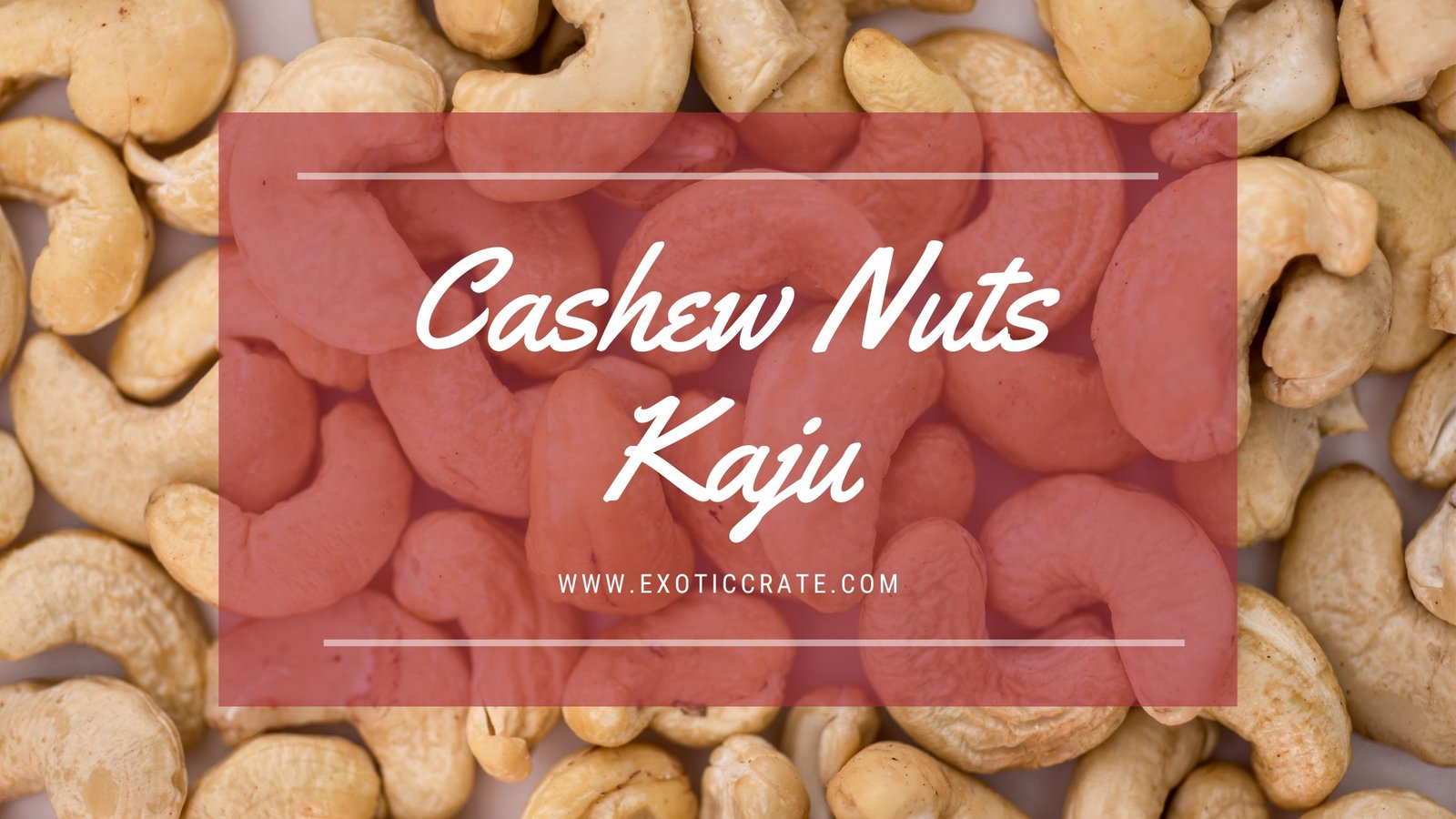 Cashew