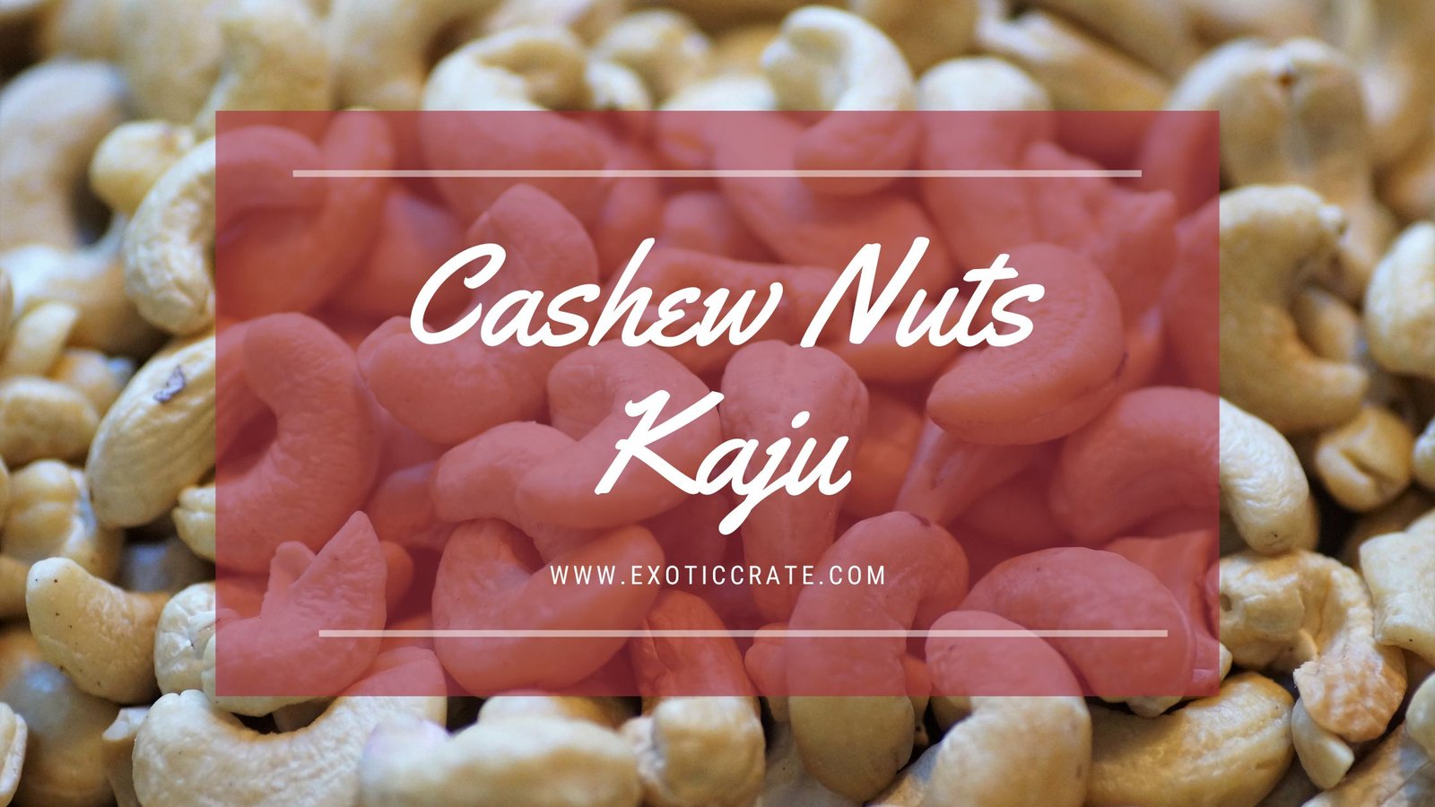 Cashew