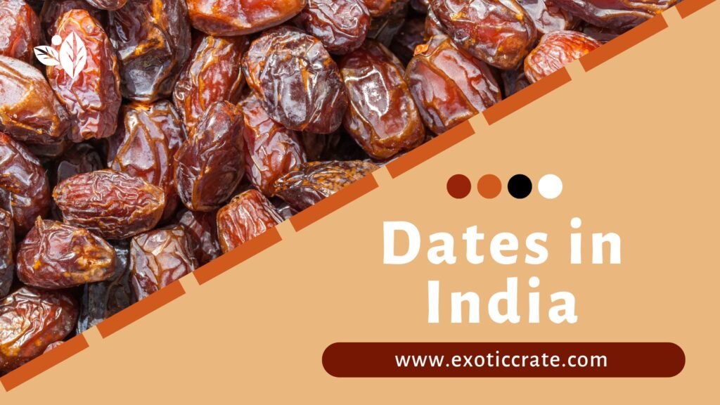 Top Dates Supplier in India – Premium Kalmi Dates in Bulk