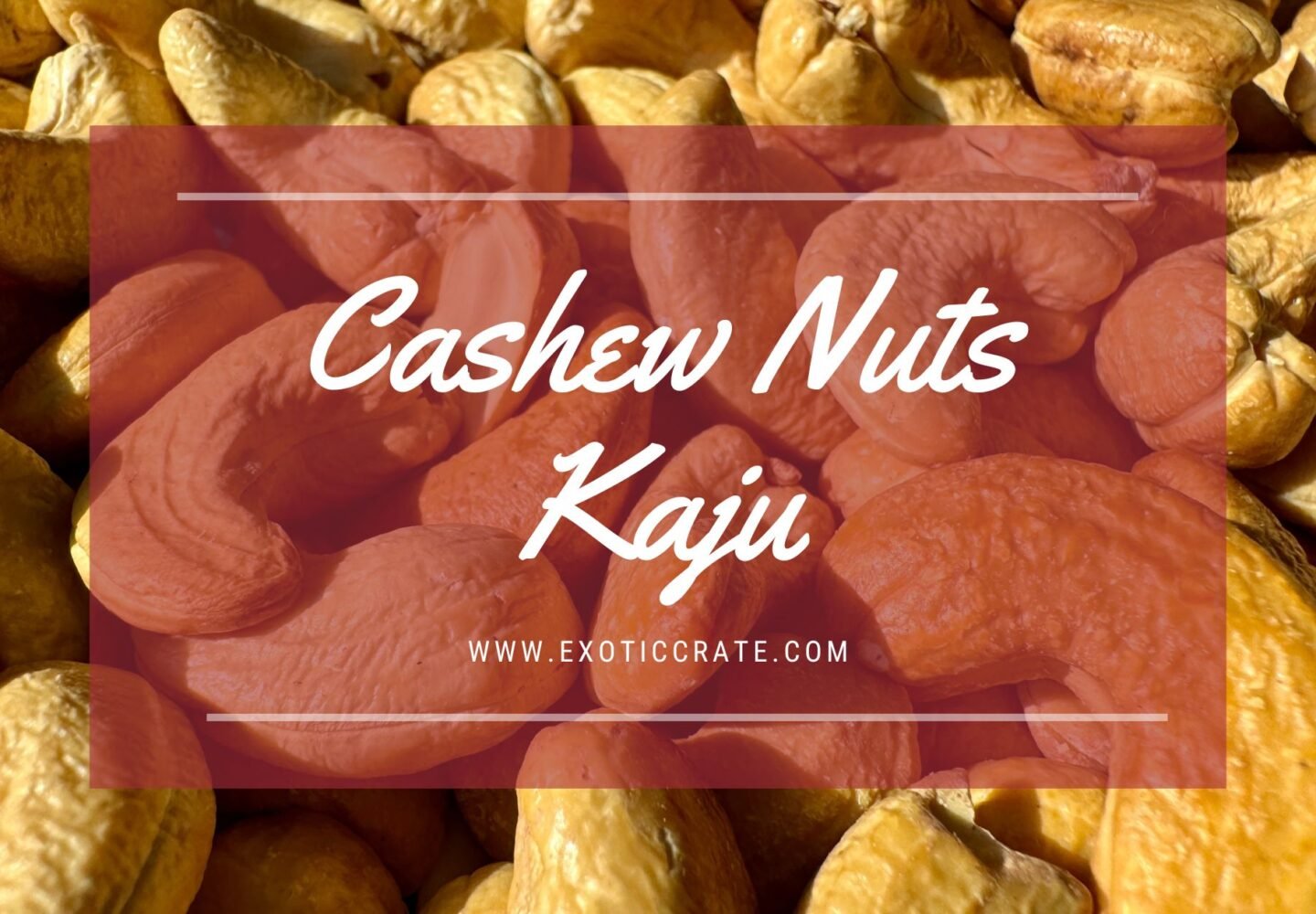 Cashew