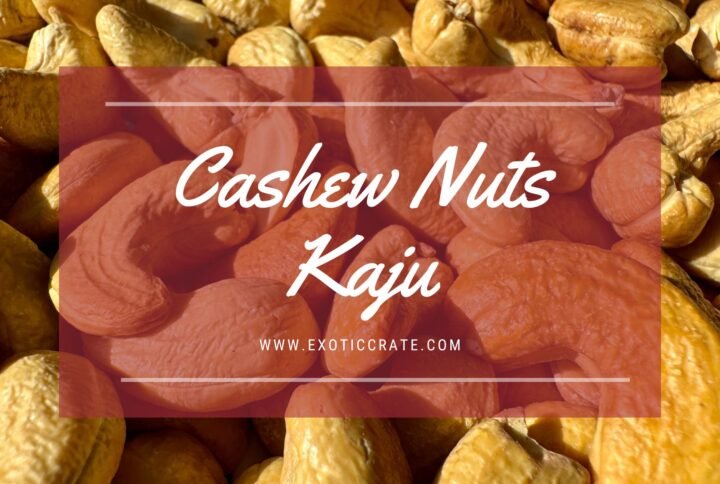 Cashew Craze in India: Why Kaju Continues to Reign as the King of Nuts