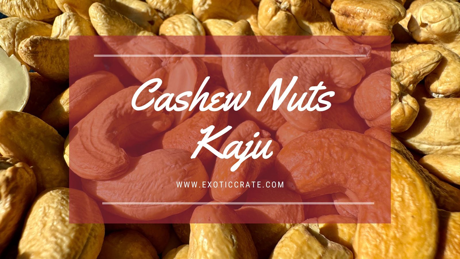 Cashew