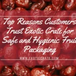 Top Reasons Customers Trust Exotic Crate for Safe and Hygienic Fruit Packaging